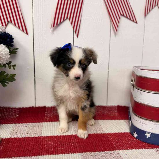Skye