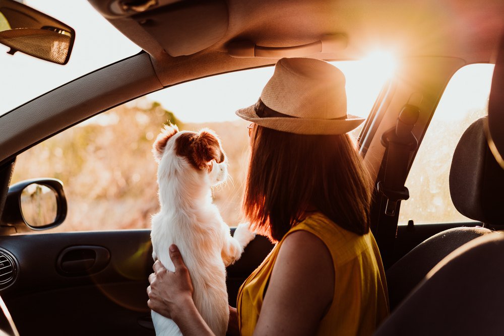 A woman sitting with a dog in a car.